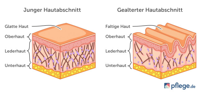 Haut im Alter