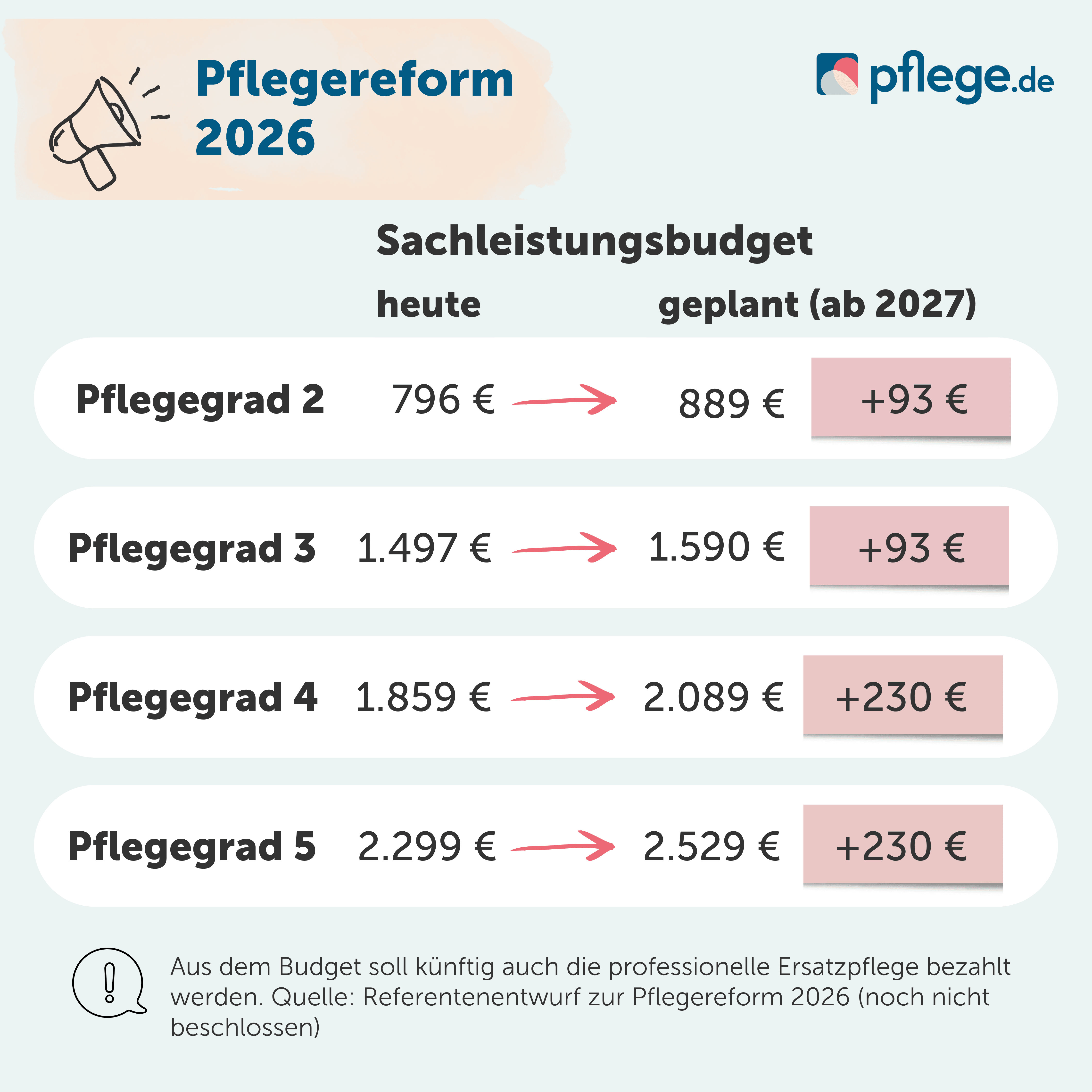 Sachleistungsbudget