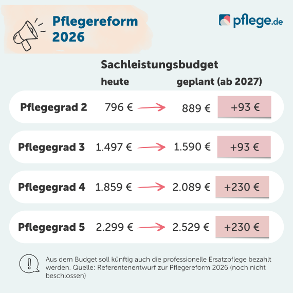 Sachleistungsbudget