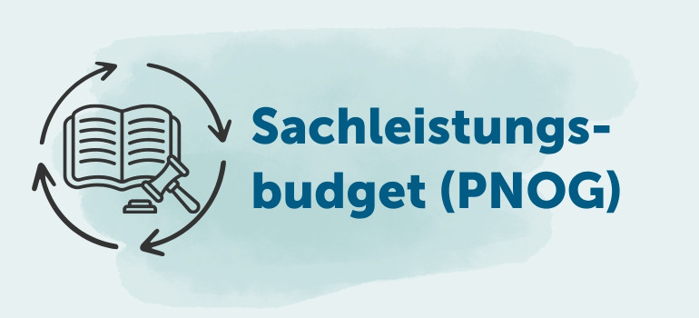 Sachleistungsbudget