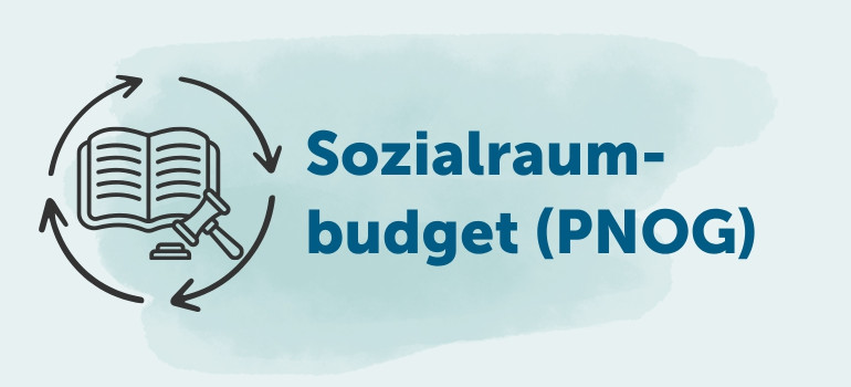 Sozialraumbudget