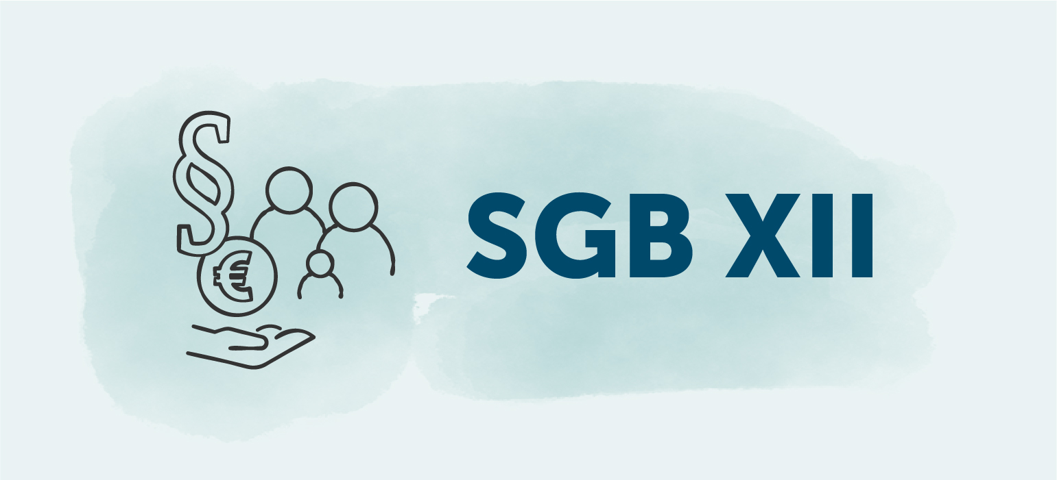 Prüfungsschema Hilfe Zur Pflege Sgb Xii SGB XII » Das Zwölfte Sozialgesetzbuch in der Pflege