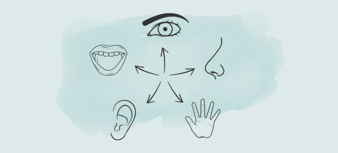Basale Stimulation